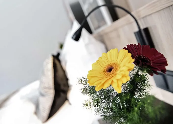 Alexxanders & Boardinghouse, Restaurant